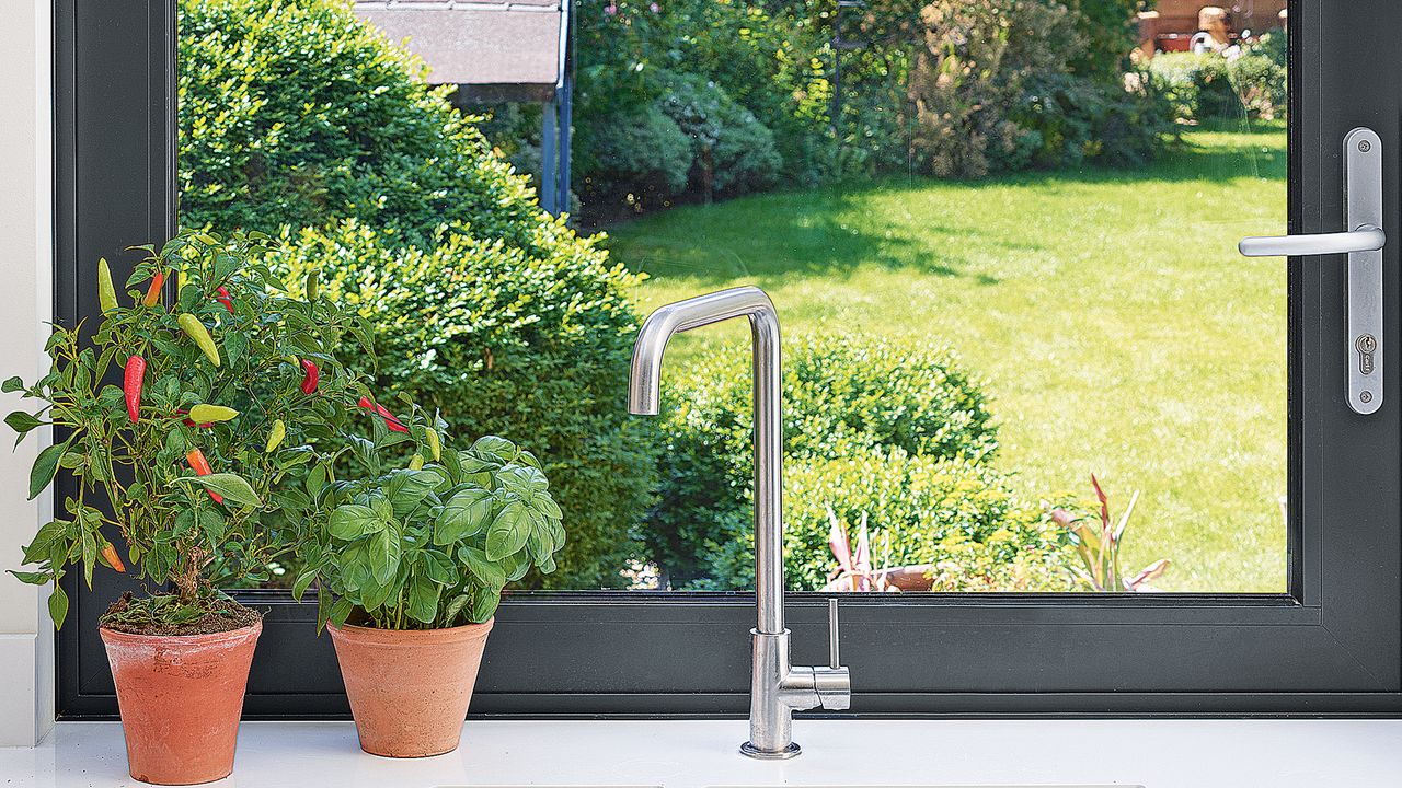 Chilli plants by kitchen sink and window looking onto garden