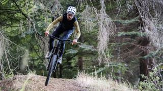 A mountain biker does a small jump in a forest
