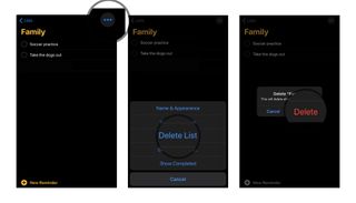 How to delete list: Tap on Family, Tap on the three dots, Tap Delete List and then confirm.