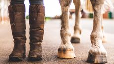 Person wearing yard boots stood by a horse