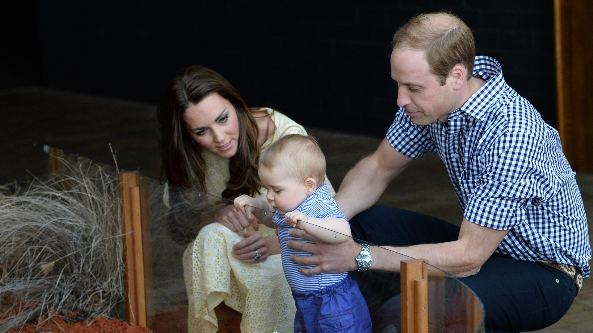 Princess Kate wearing a yellow dress kneeling next to Prince George, held by Prince William as he looks into a zoo enclosure