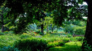 A view inside Montreal Botanical Garden