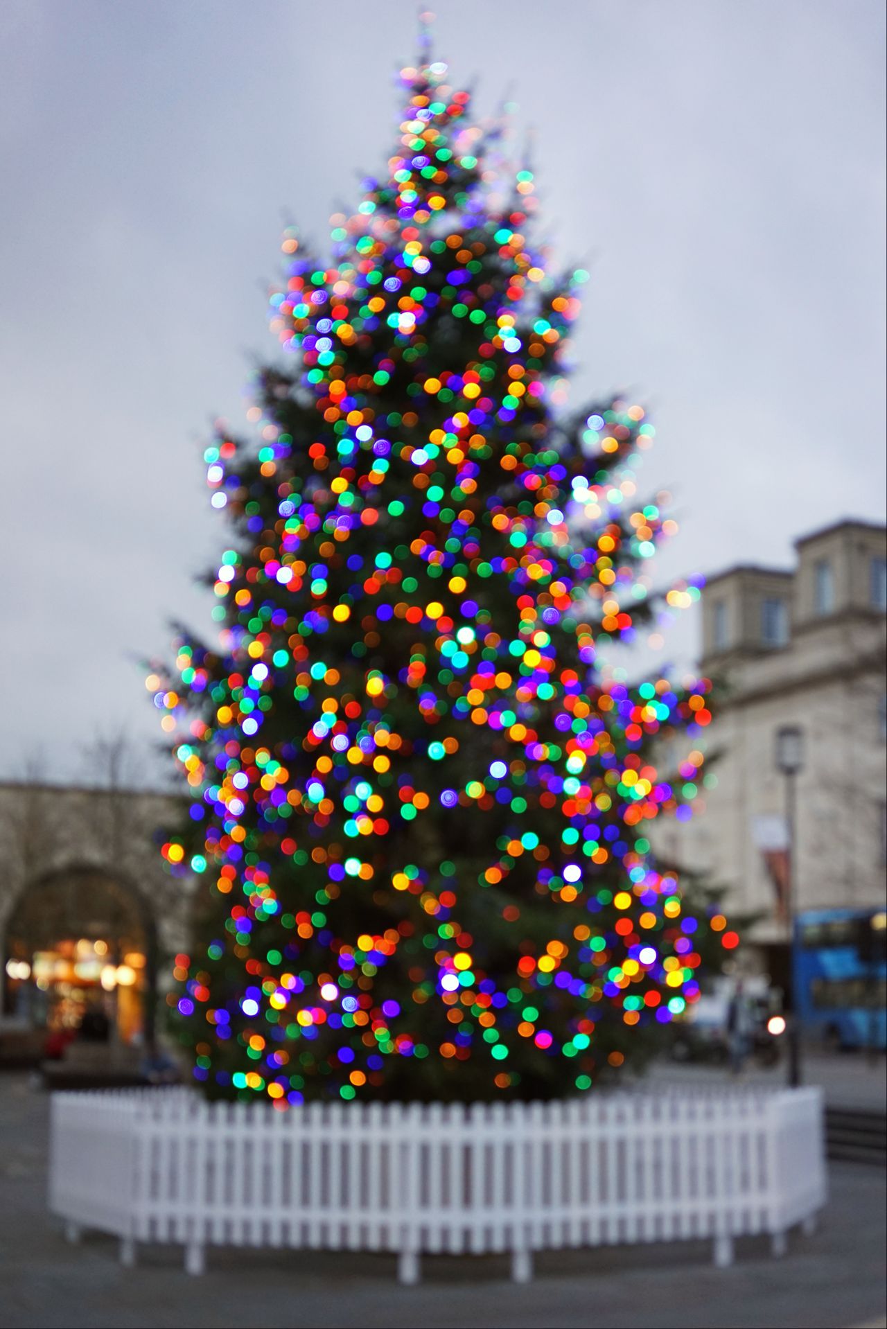 Christmas prompt images bokeh