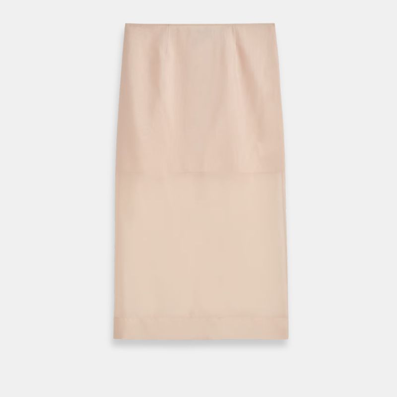 A cutout of a sheer blush skirt by Cos