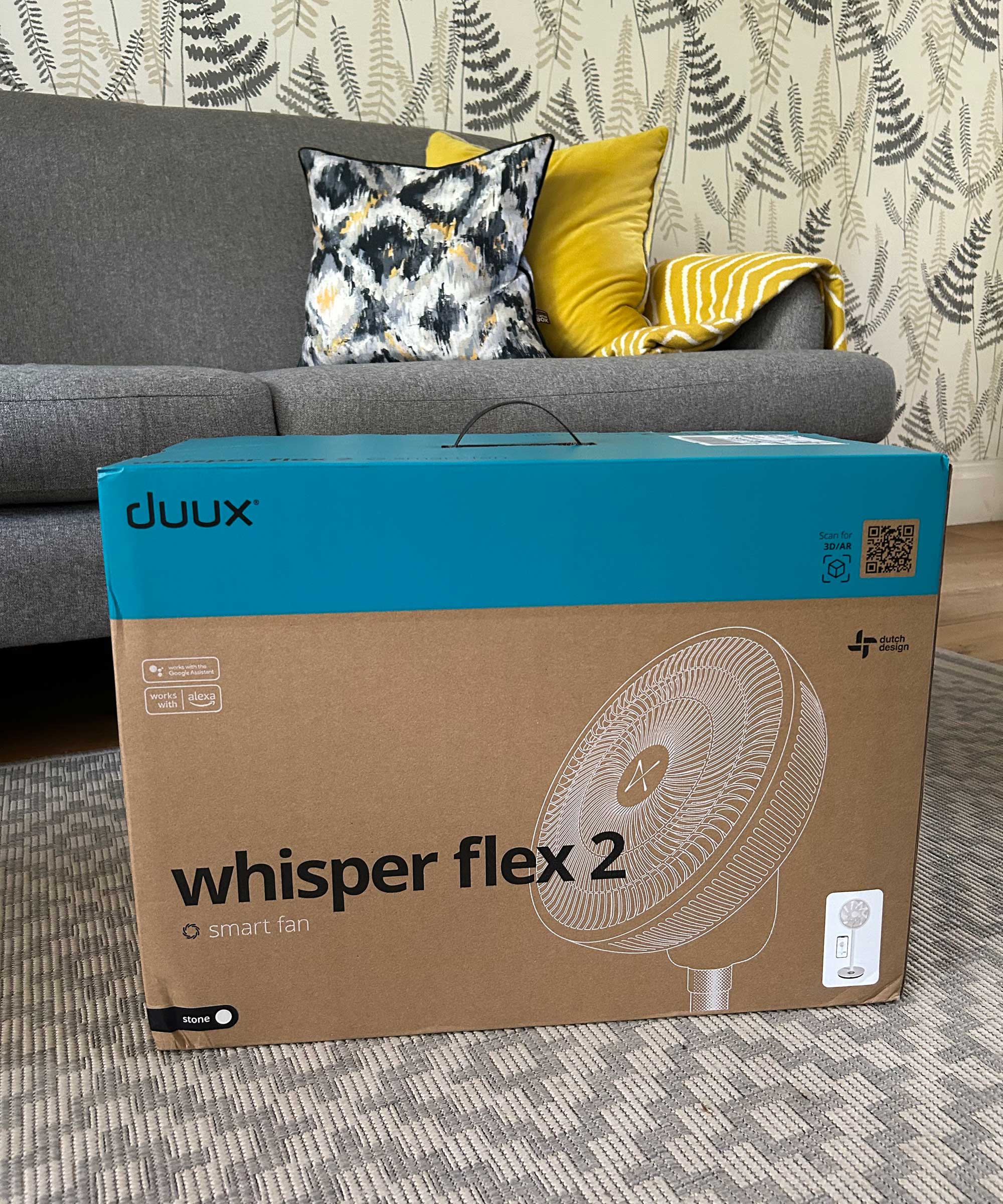 Duux Whisper Flex 2 fan in a large cardboard box