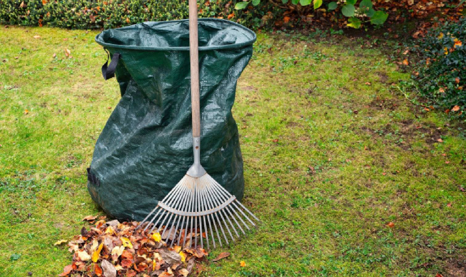 Yard waste sack