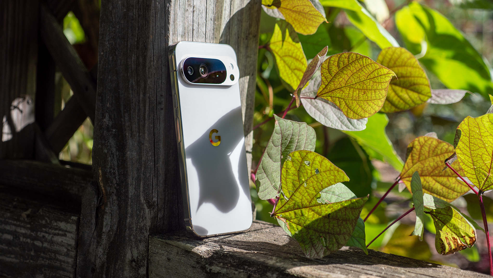 A white Google Pixel 10 Pro XL basking in the sunlight