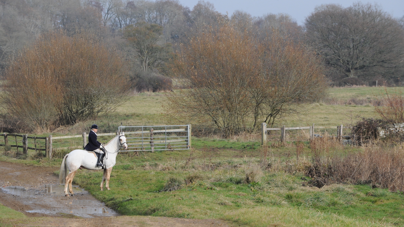 Chiddingfold_Hunting_16PN_23487.jpg