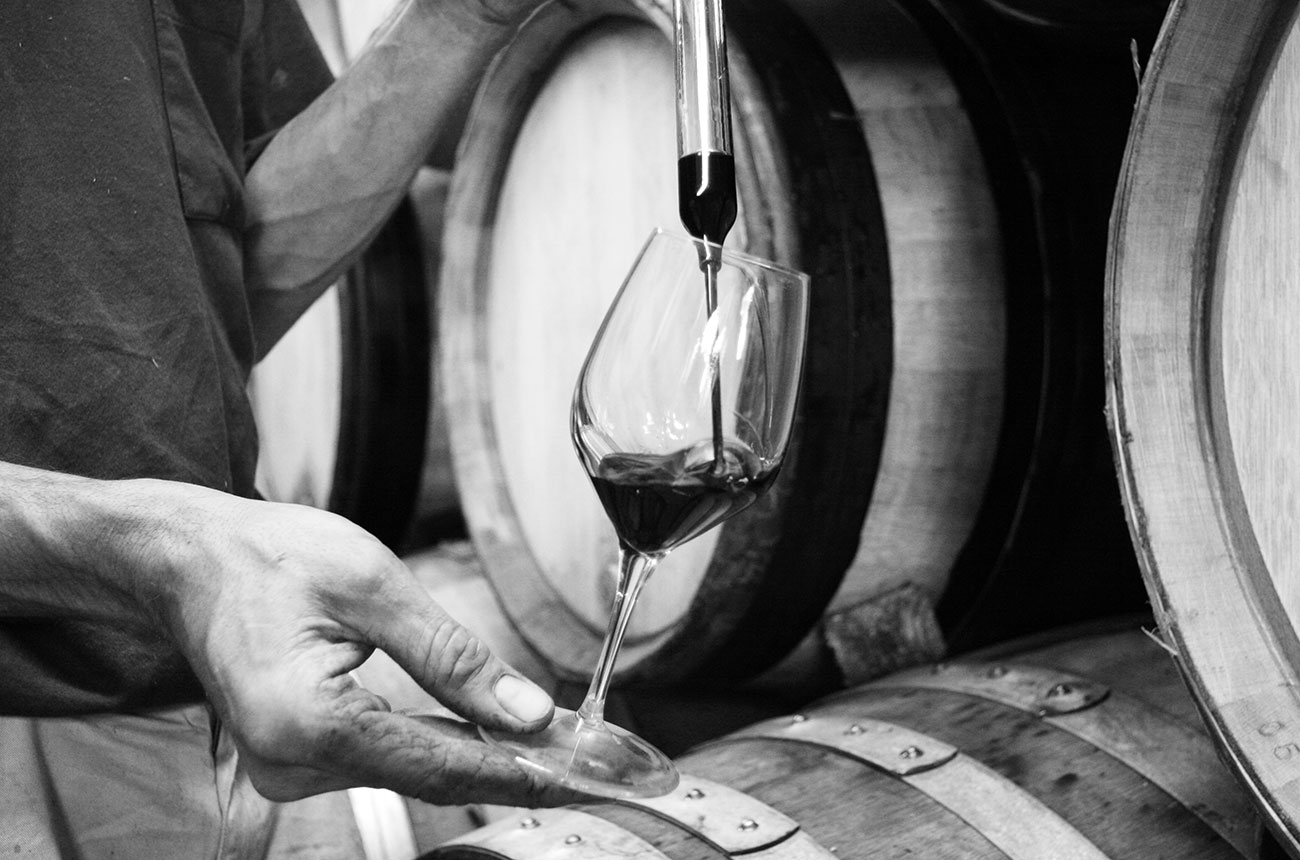 Rh&ocirc;ne 2024 en primeur