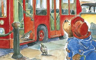 paddington bear