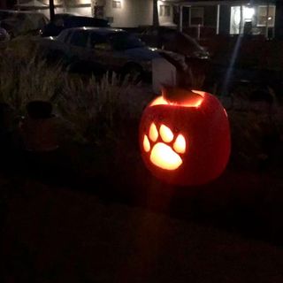 pumpkin pawprint