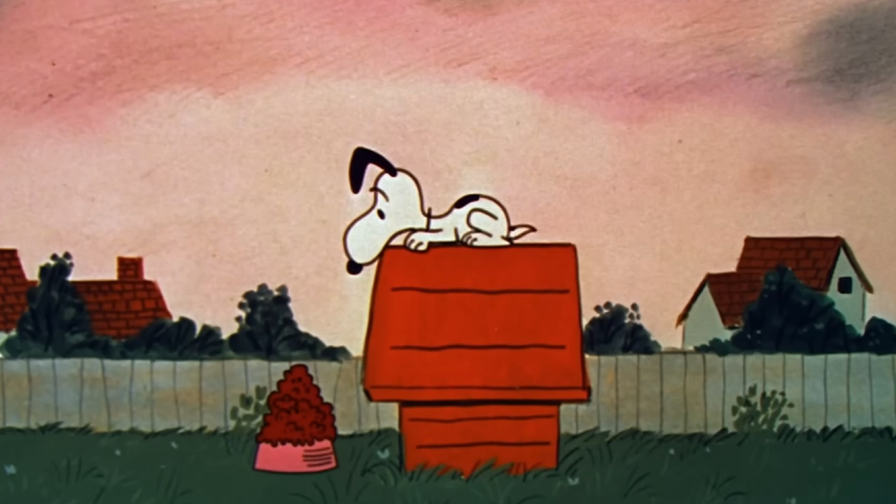 『チャーリー・ブラウンという名の少年』の家にいるスヌーピー