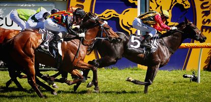 Galloping horses racing