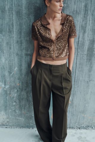 Wide-Leg Trousers With Darts