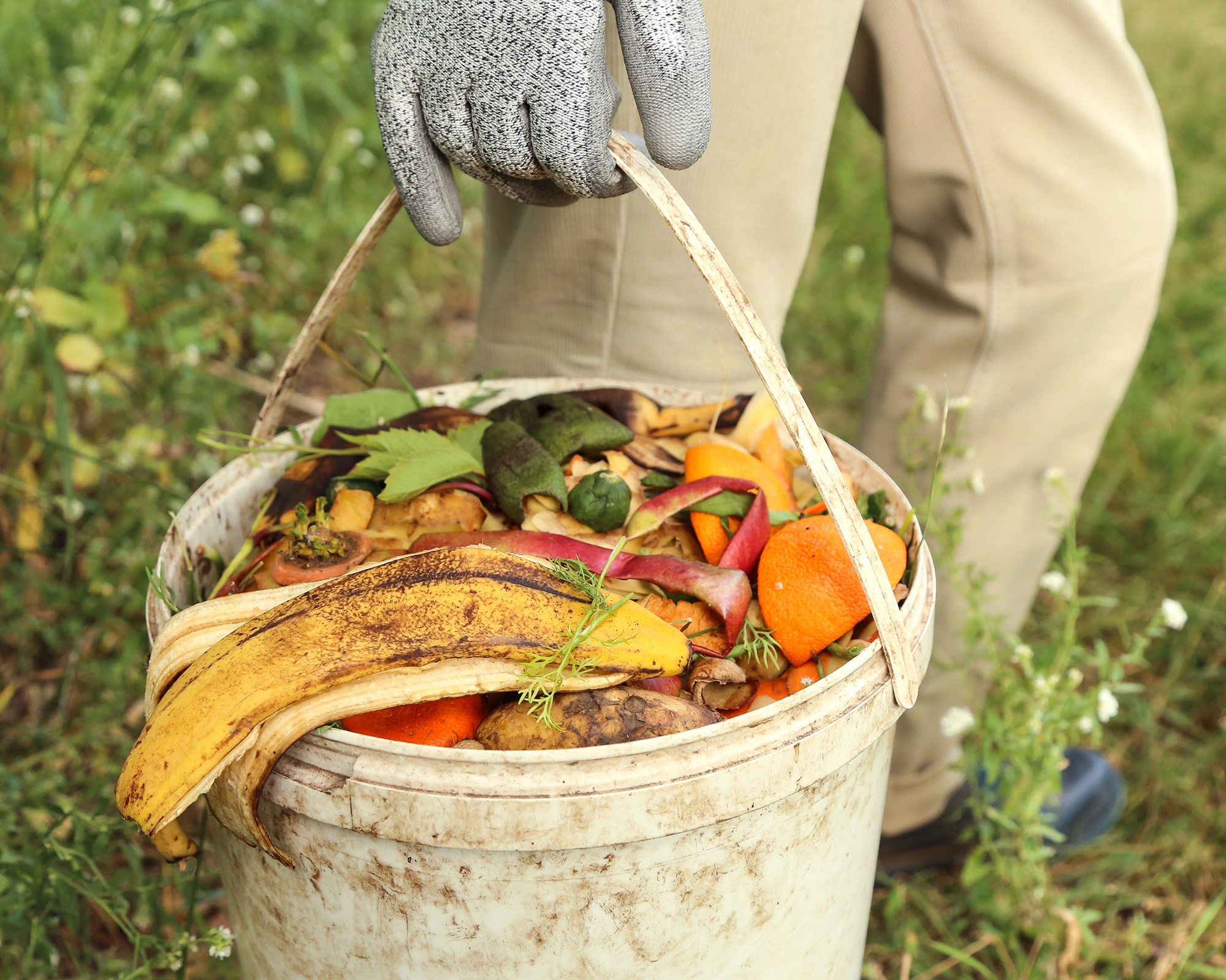 Composting scraps in bucket