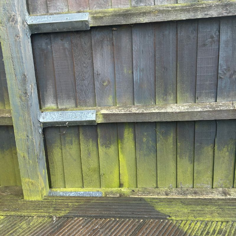 Pressure washer on fence - before cleaning with green algae