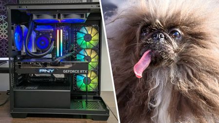 A split image, showing a Corsair Vengeance A7500 PC on the left and a pekingese dog on the right hand side, shot by photographer Josh Edelson