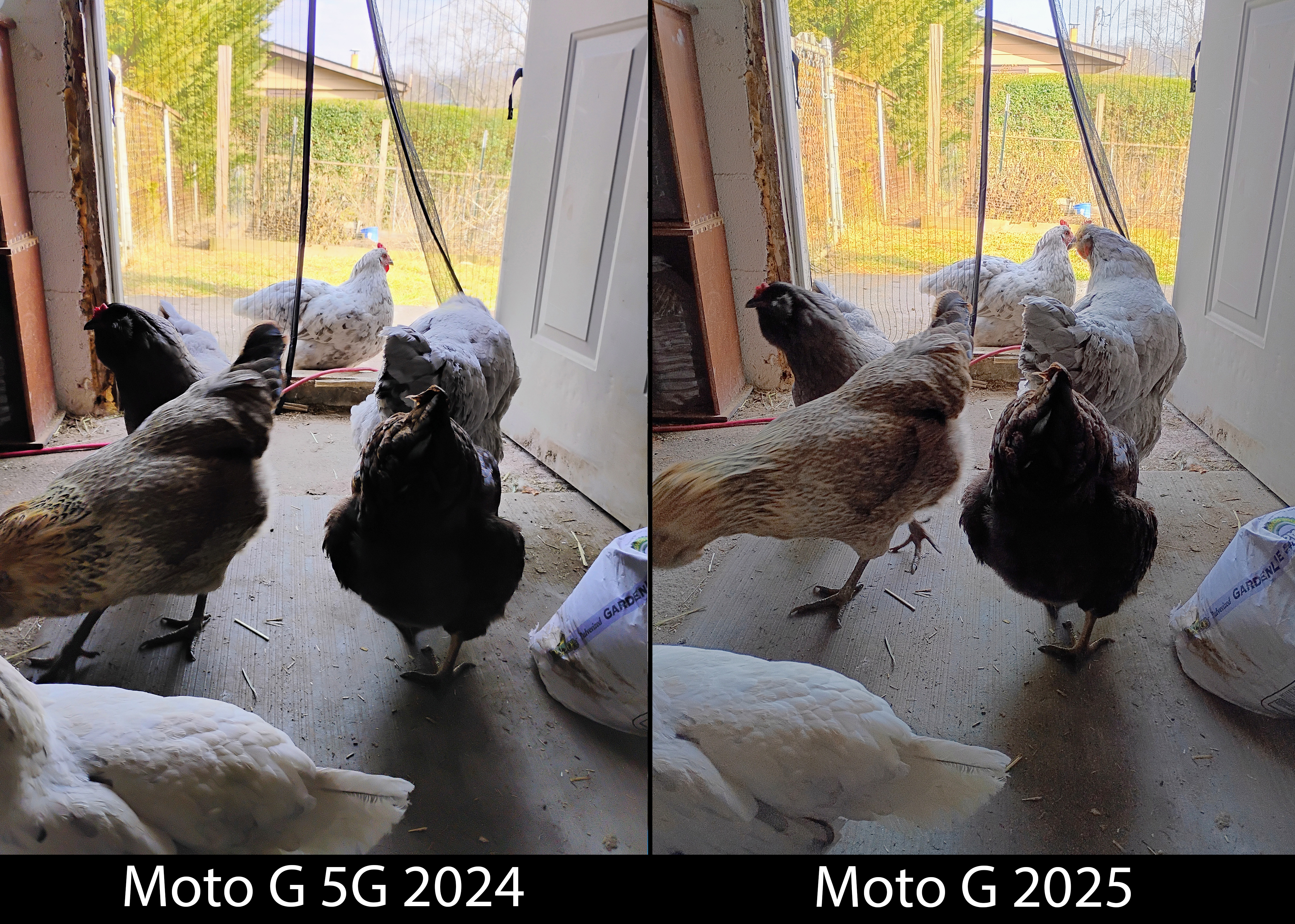 Comparing the Moto G 5G 2024 and Moto G 2025's camera quality