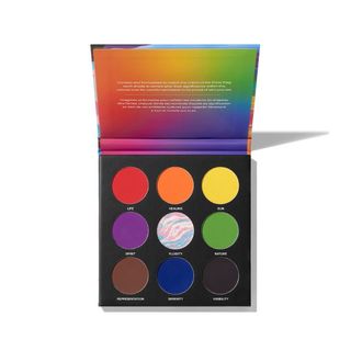 A product image of an opened eye shadow palette of nine bold shades 