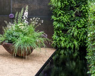 The Stolen Soul Garden. Designed by Anna Dabrowska-Jaudi at RHS Chelsea flower show