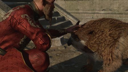 Baldur's Gate 3 owlbear cub and player character