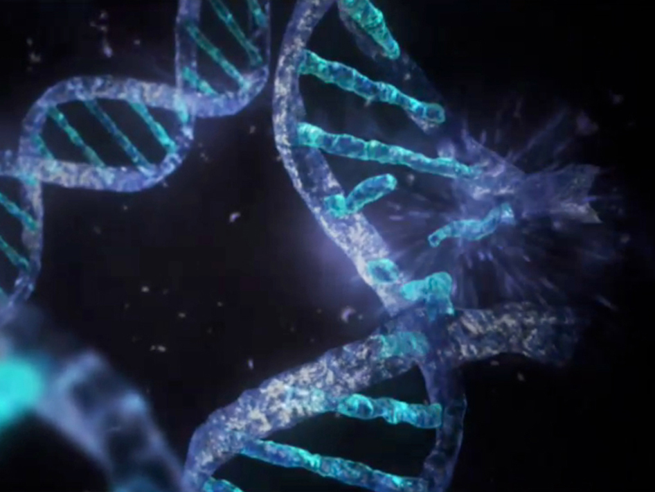 Space radiation breaks apart DNA in this artist&#039;s conception. Scientists are interested in how information flows between DNA, RNA and proteins. 