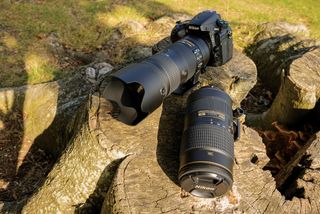 How to photograph birds in flight