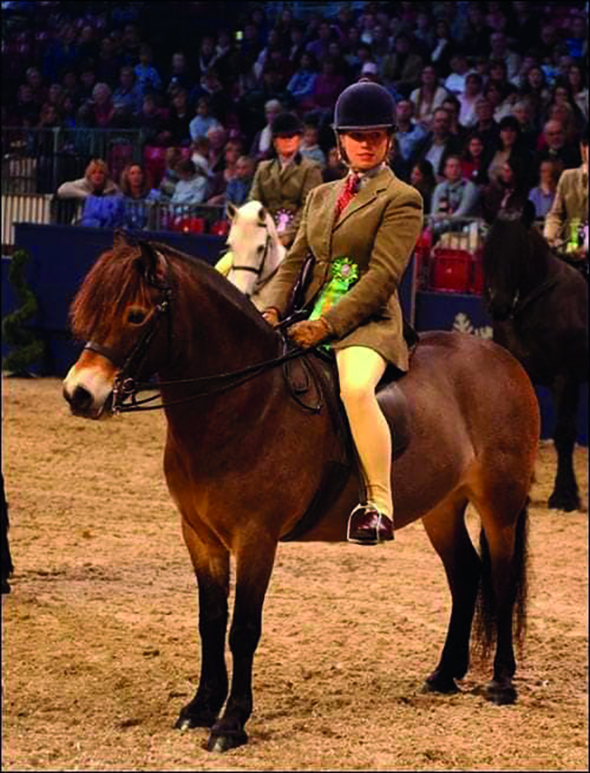 Exmoor mare Stowbrook Jenny Wren winning at Olympia 2003 ridden by Katy