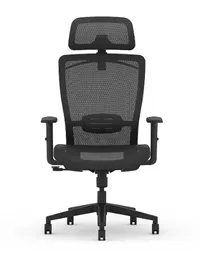 FlexiSpot BS3
