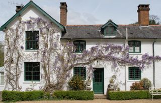 whitewashed part-Victorian part-Georgian home with wisteria