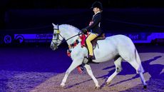 HorseNo1125_HOYS_PN22_52771.jpg