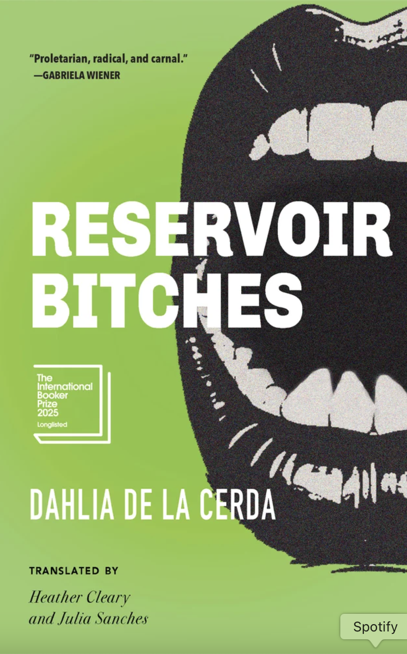 reservoir bitches book cover