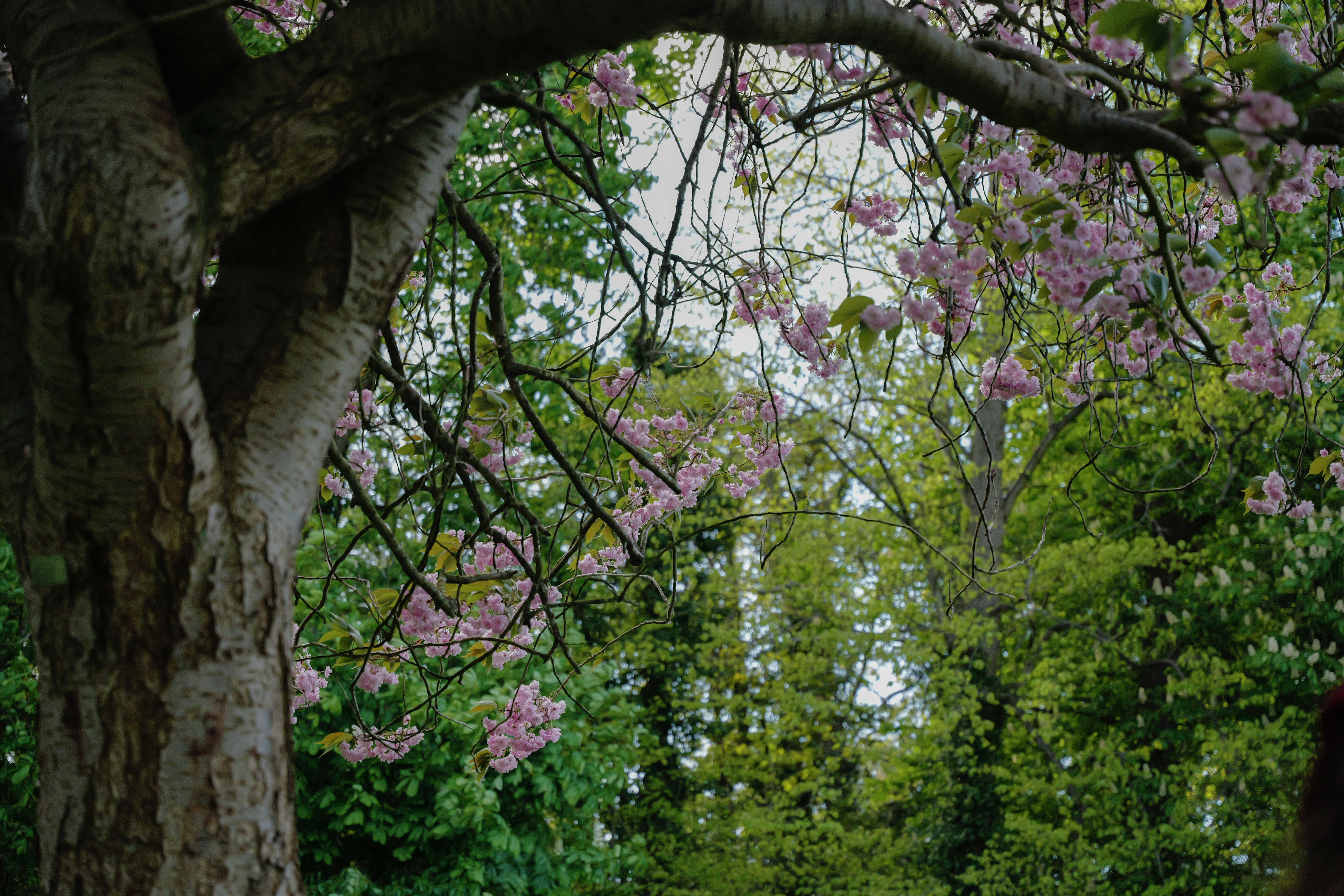 A photo taken on a Leica SL3-S mirrorless camera