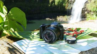 the best compact cameras