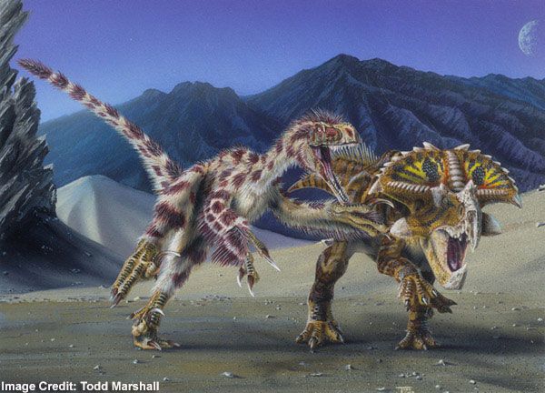 New dinosaur was a plant-eating speed runner