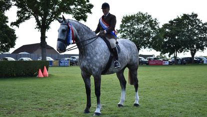 Grey Irish Draught horse Goosey Gander and Katie Jerram Hunnable stand wearing their rosettes won in the 2024 RIHS supreme ridden Irish Draught championship, judged in 2025 by Matthew McGivern