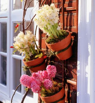 garden trellis with flower pots and white window