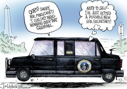 Political cartoon U.S. Trump EPA White House vetting