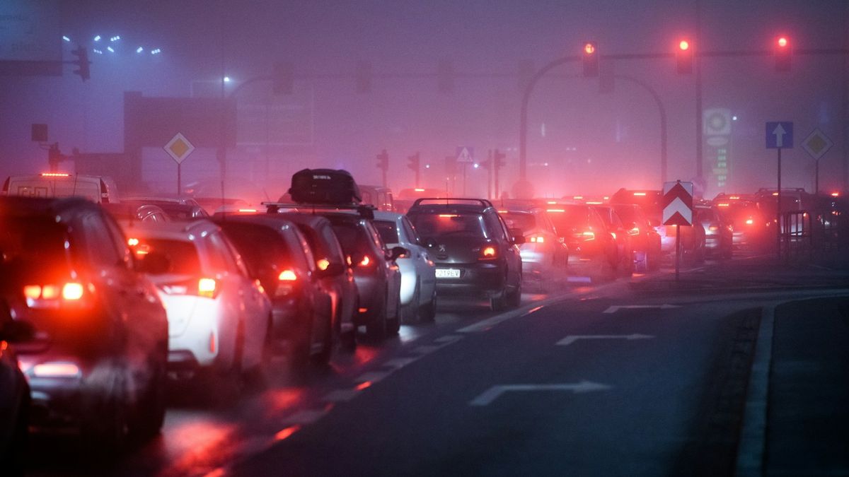 Pollution harms men’s fertility, but traffic noise affects women’s