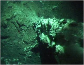 The small relict chimney found on the seafloor near Antarctica at a depth of around 3,900 feet (1,200 meters). Emanating hydrothermal fluid is visible as shimmering water.