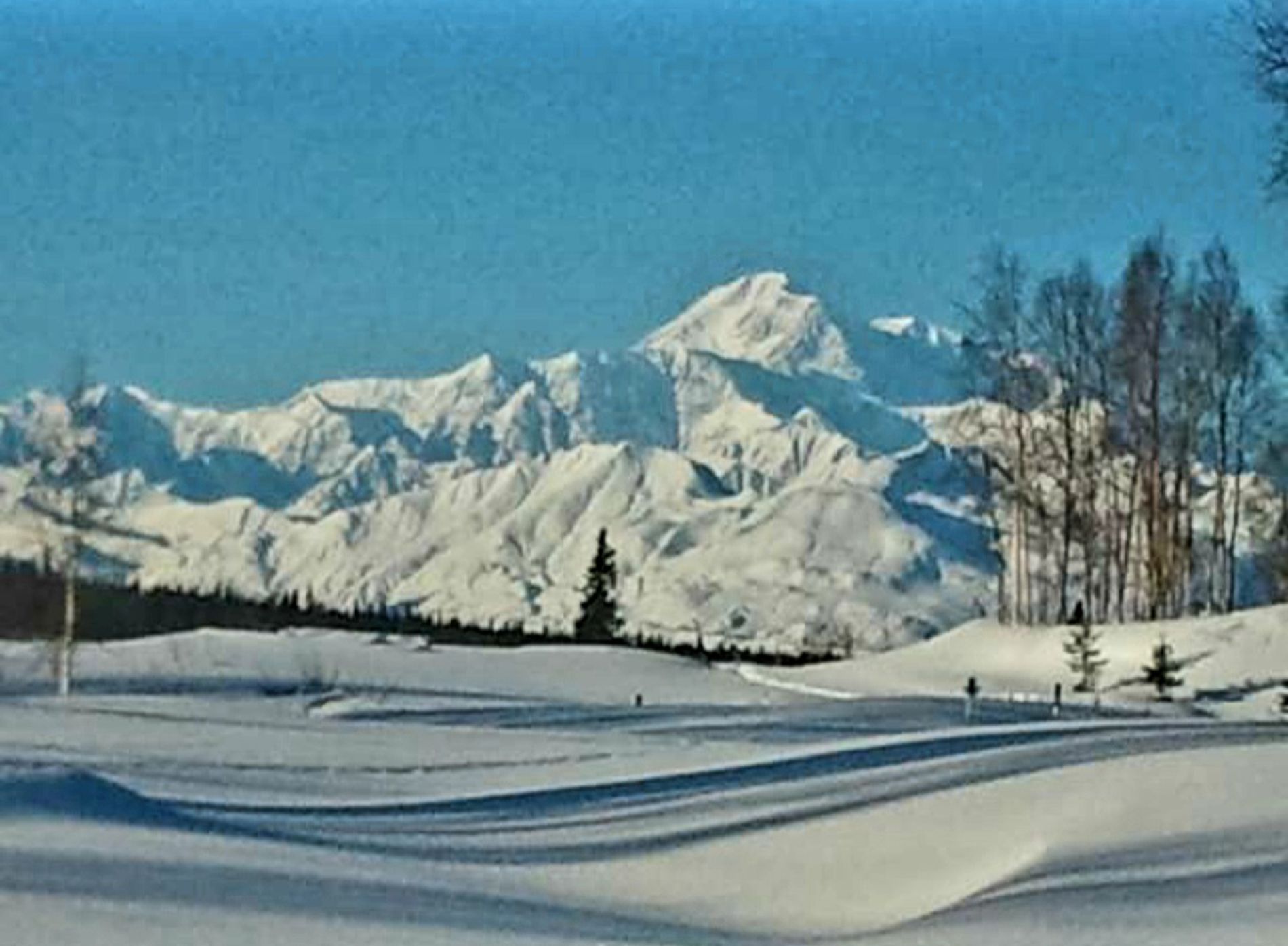 GuruShots - February 2026