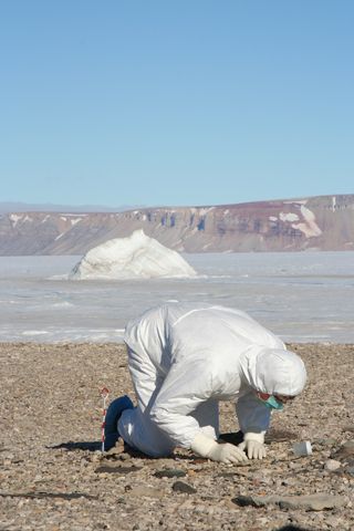 Searching for Human Remains in Greenland