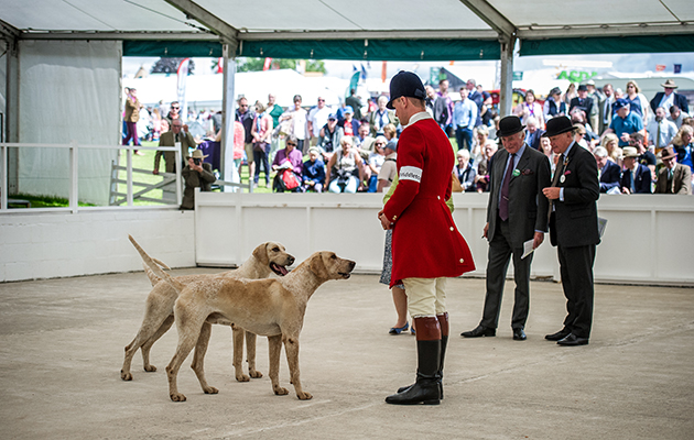 The Middleton were one of the many local Yorkshire packs competing