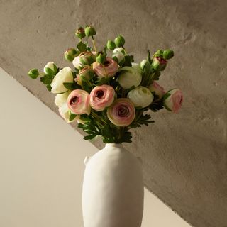 Ranunculus Xl Maxi Bunch - Cream, Blush & Light Green