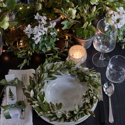 White flowering cyclamen on a table