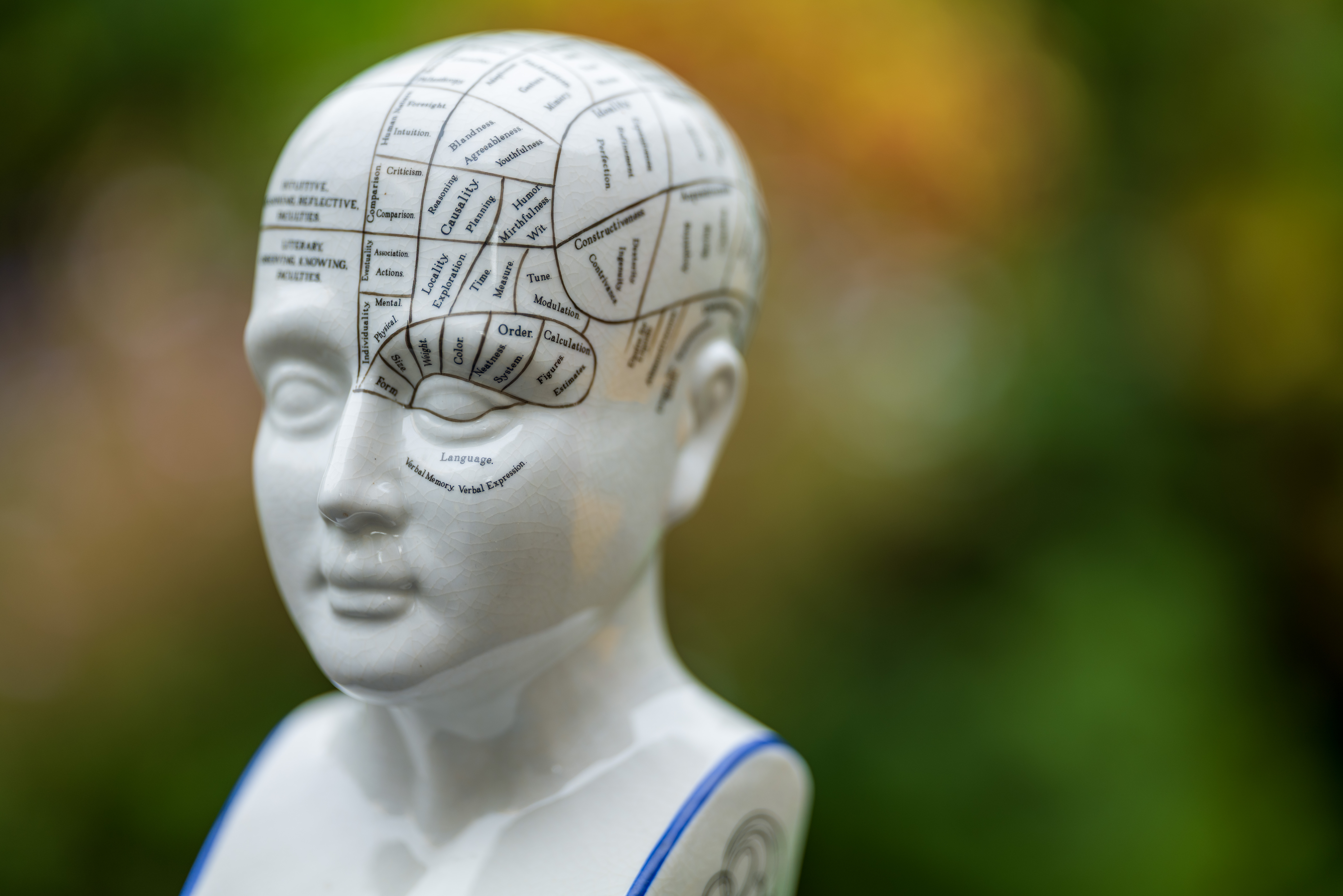 Sigma 135mm f/1.4 DG Art example shot