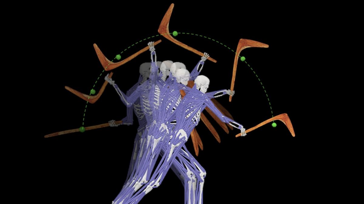 Ancient Indigenous weapons from Australia can deliver ‘devastating blows,’ 1st-ever biomechanics study of its kind reveals