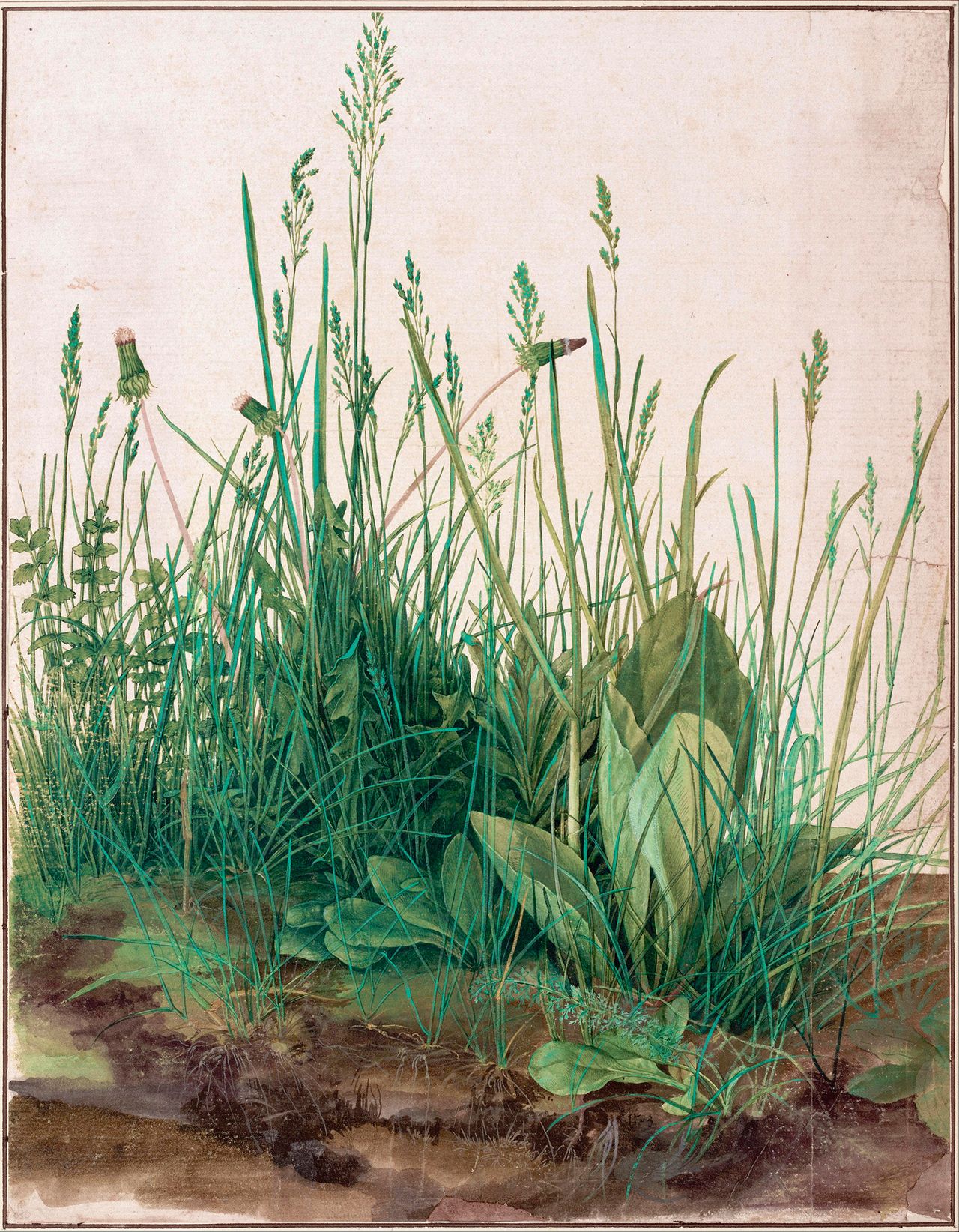 The Great Piece of Turf, 1503, 15in by 12¼in, by Albrecht Dürer (1471–1528), Albertina, Vienna, Austria.