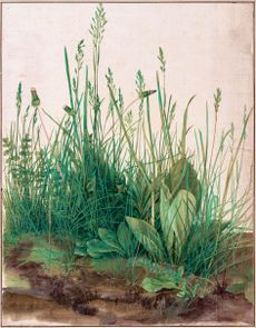 The Great Piece of Turf, 1503, 15in by 12¼in, by Albrecht Dürer (1471–1528), Albertina, Vienna, Austria.