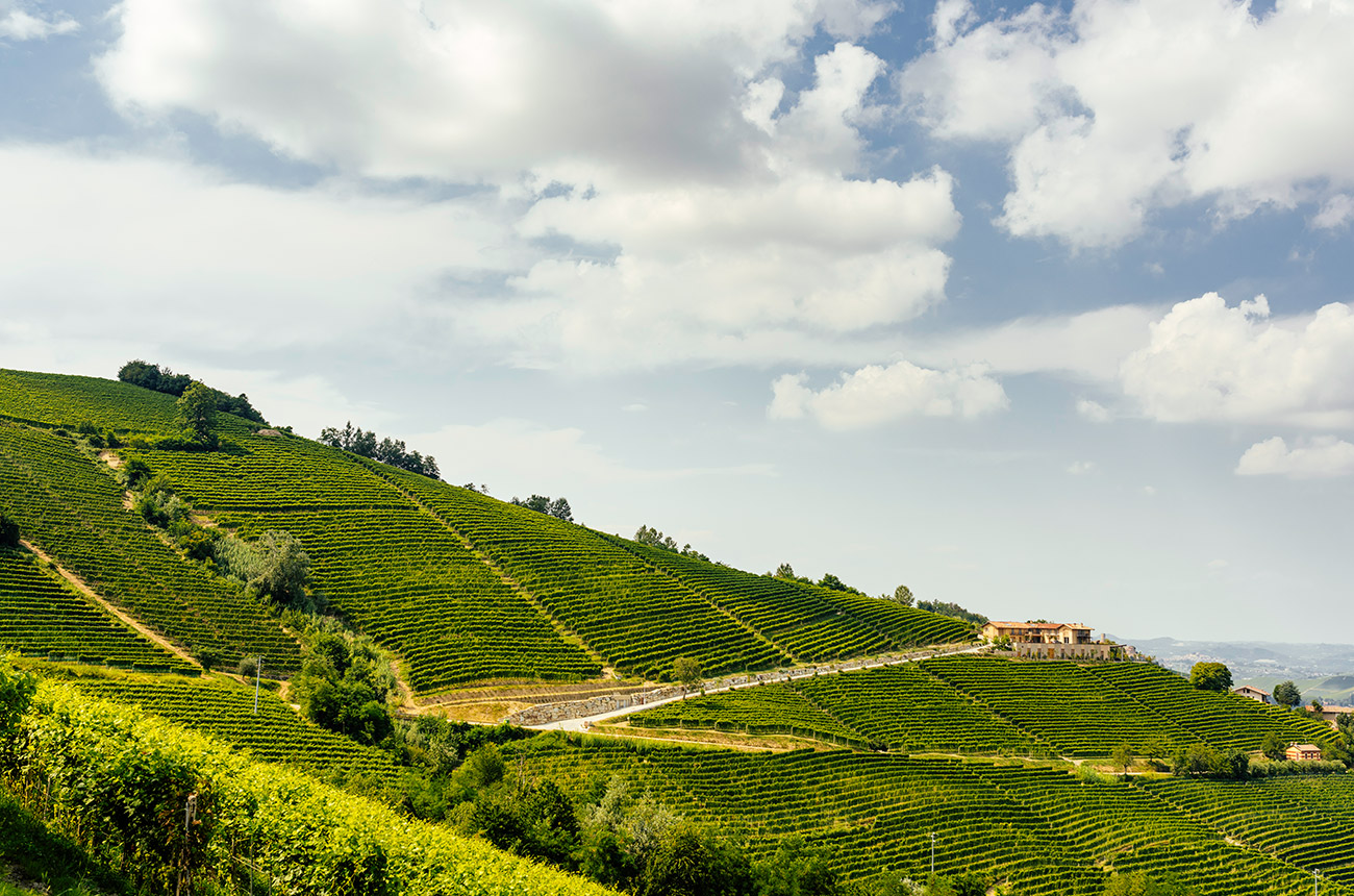 The Fortemasso winery in Castelletto MGA